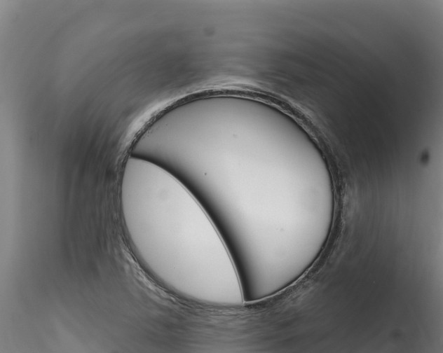 X0000116281363200911301030