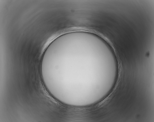 X0000116281365200911301030