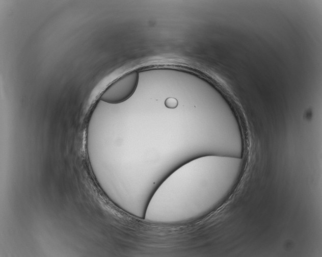 X0000116281366200911301030