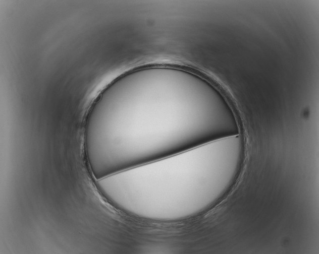X0000116281367200911301030