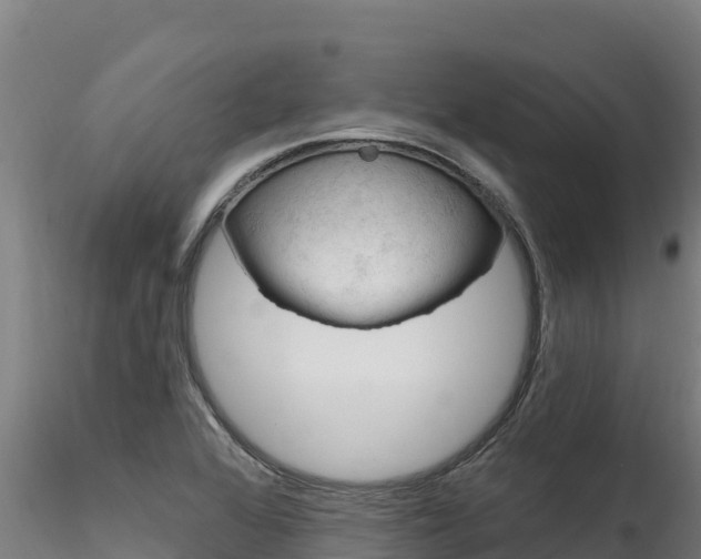 X0000116281368200911301030