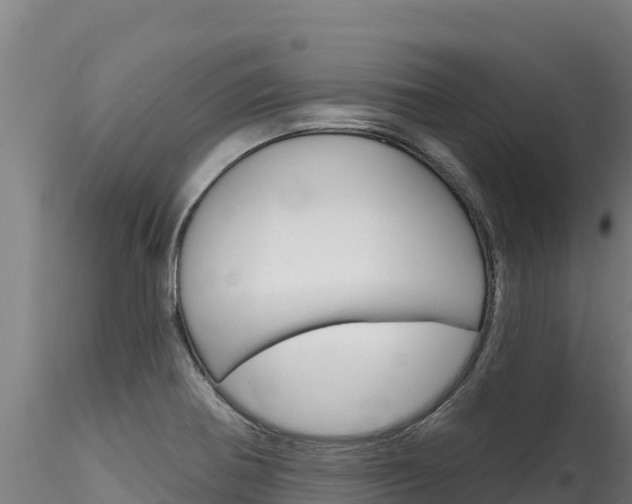 X0000116281370200911301030