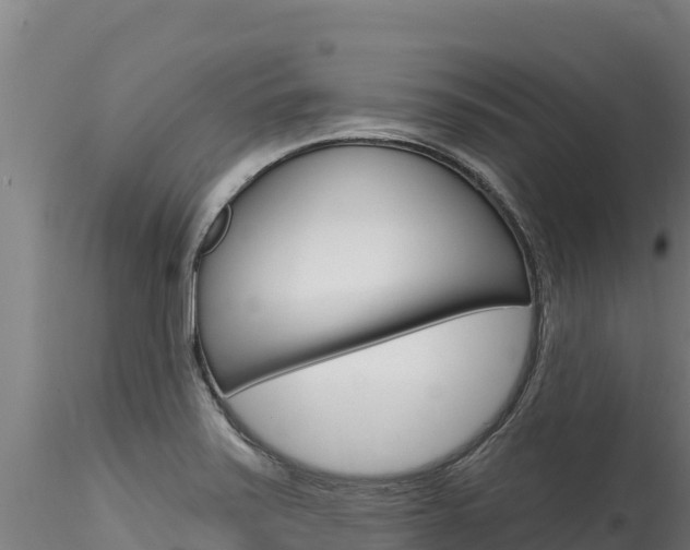 X0000116281371200911301030