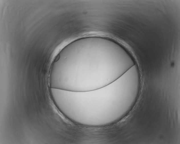 X0000116281373200911301030