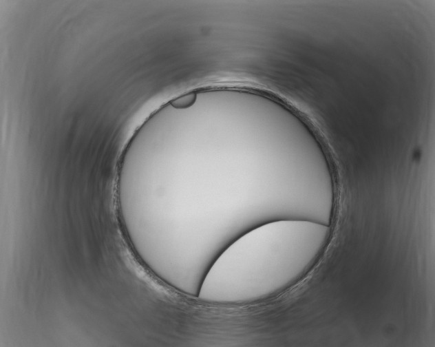 X0000116281374200911301030