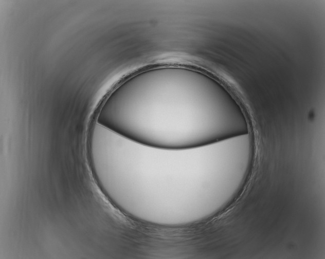 X0000116281376200911301030