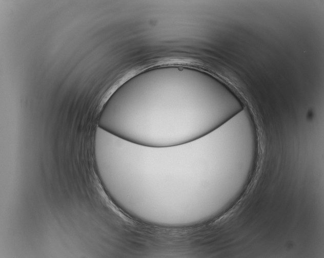 X0000116281377200911301030