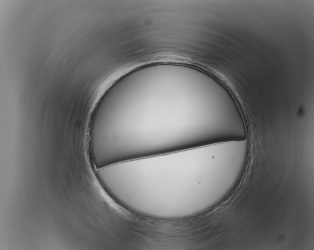 X0000116281379200911301030