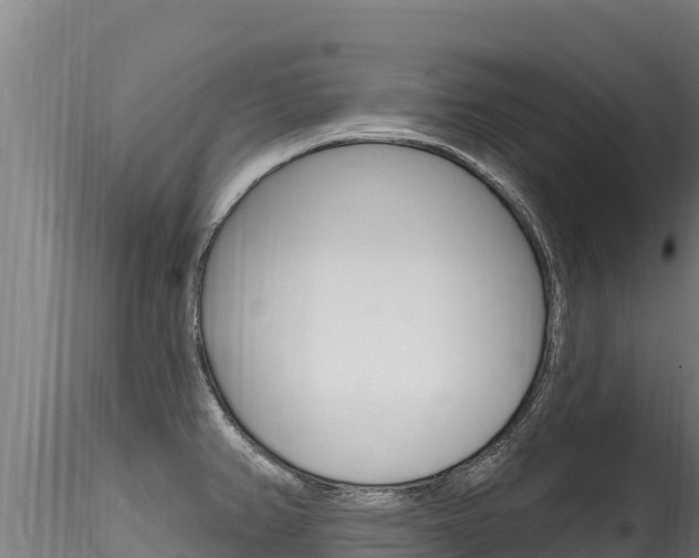 X0000116281382200911301030