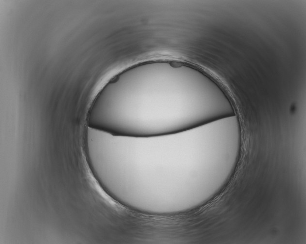 X0000116281383200911301030