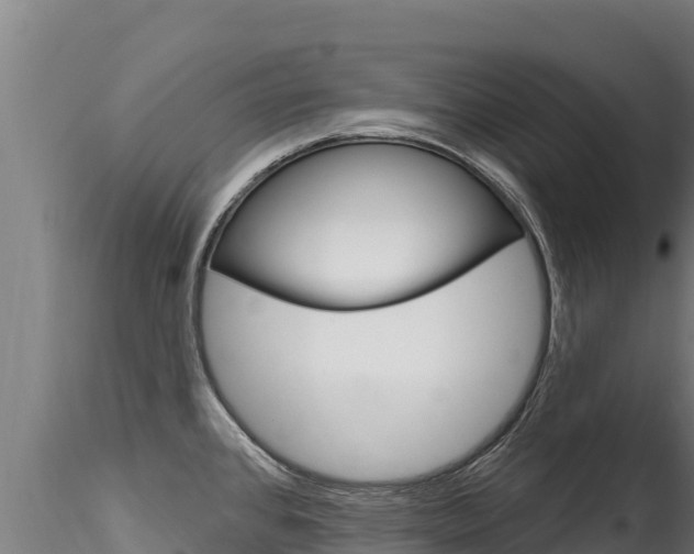 X0000116281384200911301030