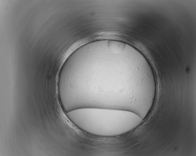 X0000116281386200911301030