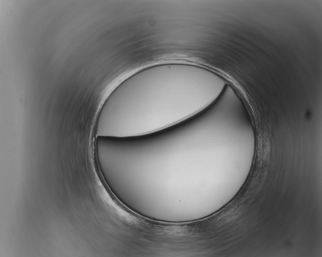 X0000116281387200911301030