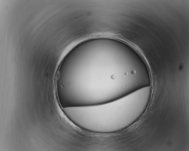 X0000116281389200911301030