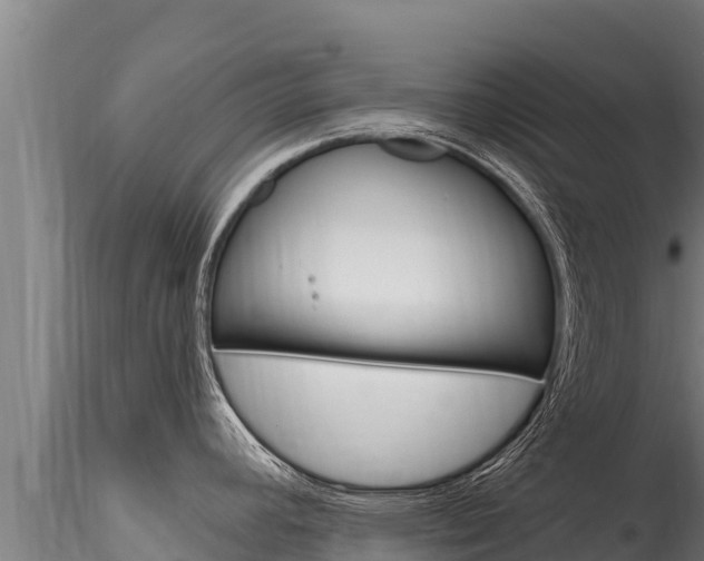 X0000116281392200911301030