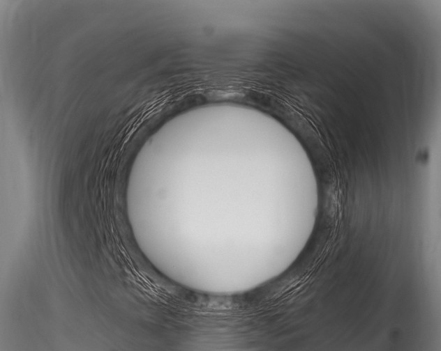 X0000116281393200911301029