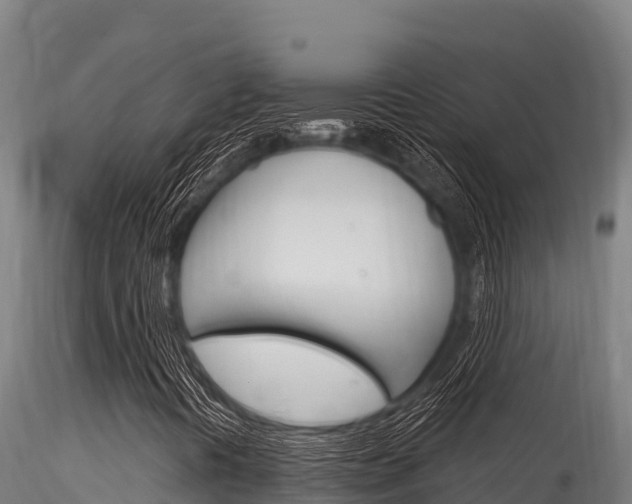 X0000116281394200911301029