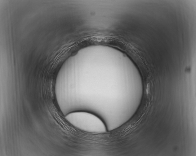X0000116281396200911301029