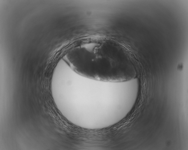X0000116281398200911301029