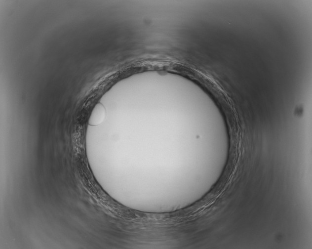 X0000116281399200911301029