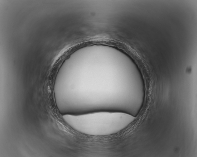 X0000116281400200911301029