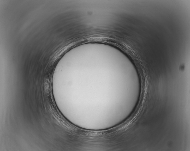 X0000116281401200911301029