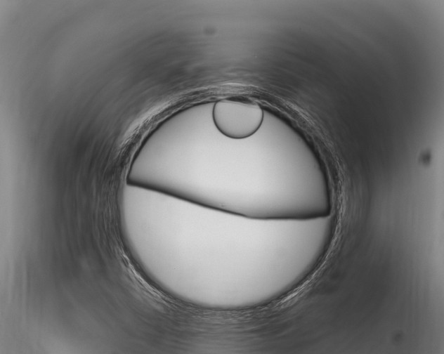 X0000116281402200911301029