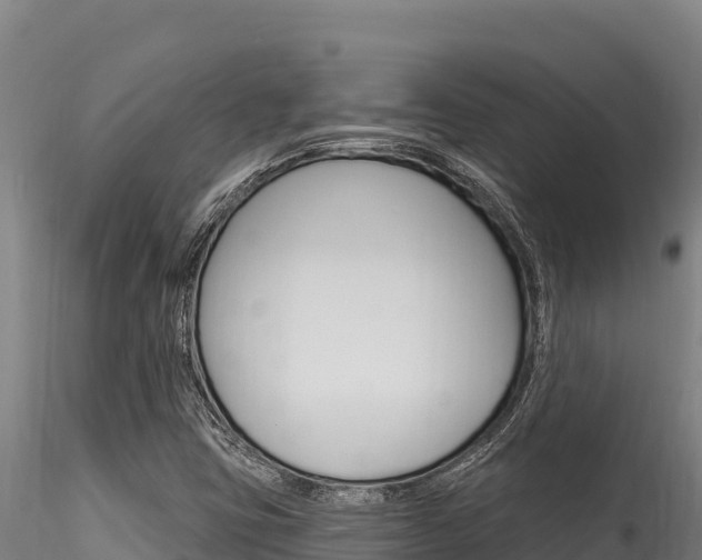 X0000116281403200911301029