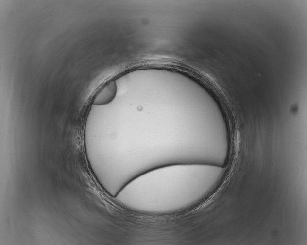 X0000116281405200911301029