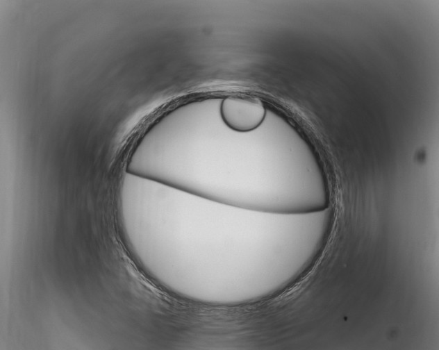 X0000116281406200911301029