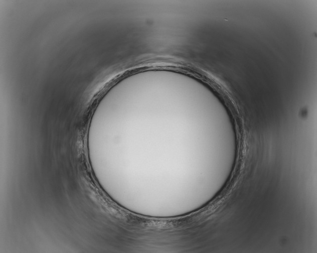 X0000116281407200911301029