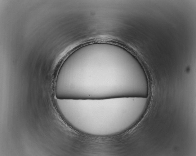 X0000116281410200911301029