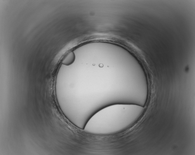 X0000116281411200911301029
