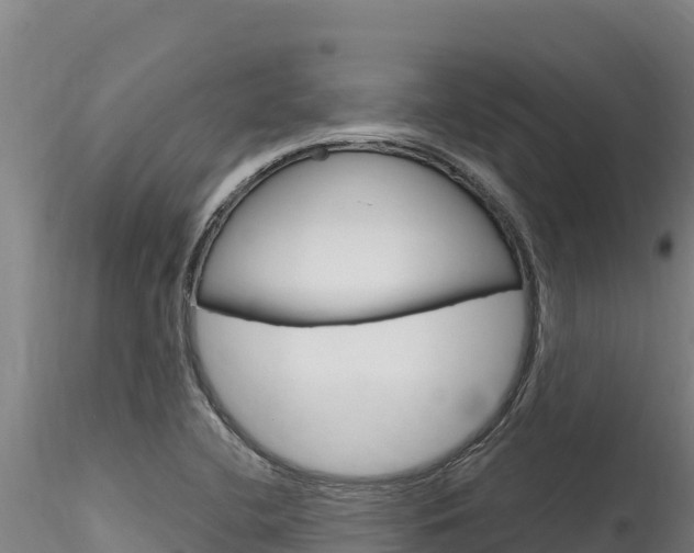 X0000116281412200911301029