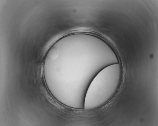 X0000116281413200911301029