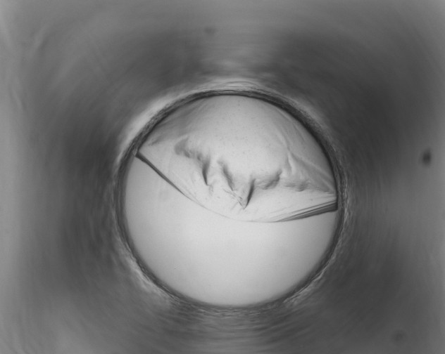 X0000116281414200911301029