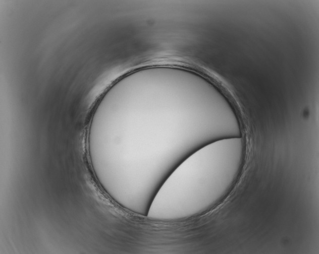 X0000116281415200911301029