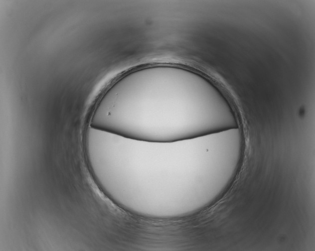 X0000116281416200911301029