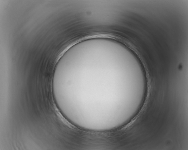 X0000116281417200911301030