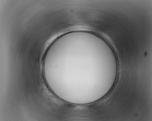 X0000116281419200911301030