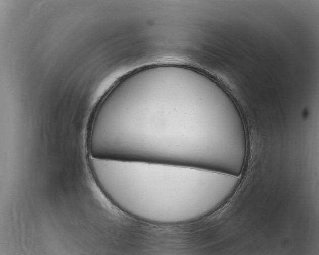 X0000116281422200911301030
