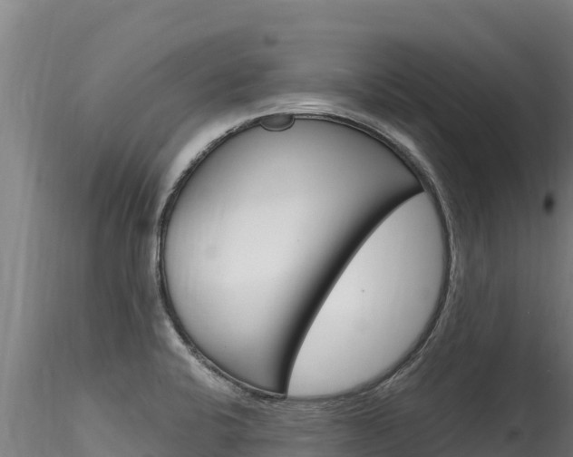 X0000116281424200911301030