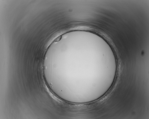 X0000116281425200911301030