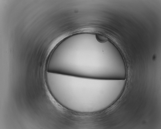 X0000116281426200911301030