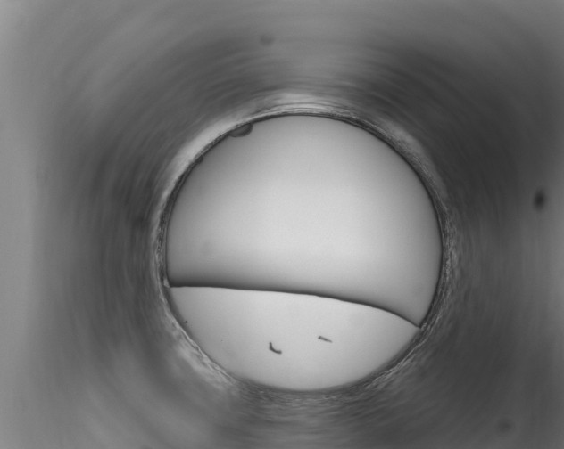 X0000116281427200911301030