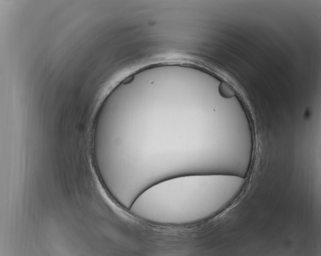 X0000116281429200911301030