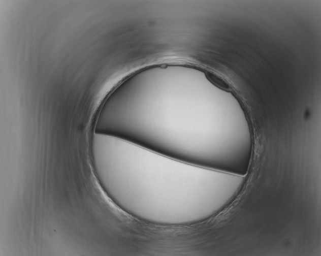 X0000116281430200911301030