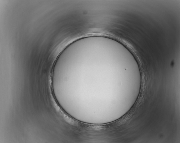 X0000116281431200911301030