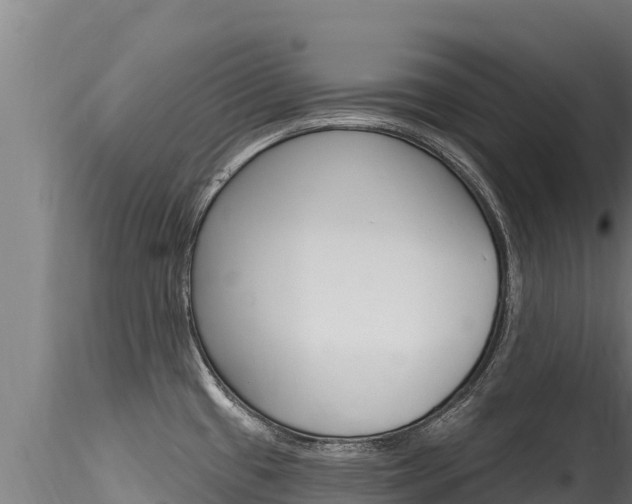 X0000116281433200911301030