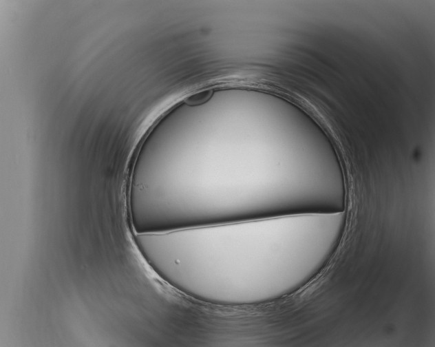 X0000116281434200911301030